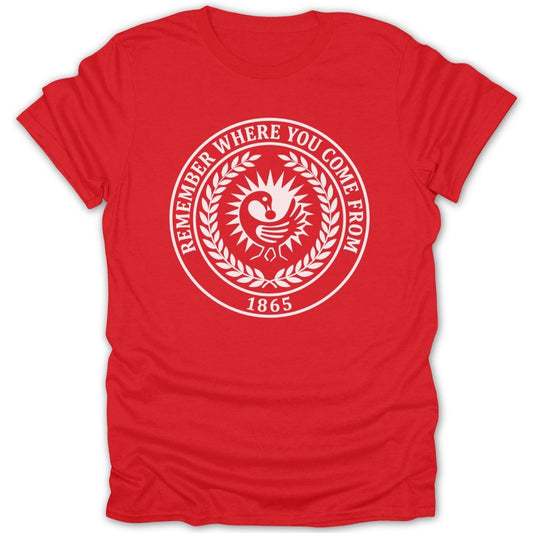 Juneteenth Sankofa Legacy 1865 Tee - Zion Threadz
