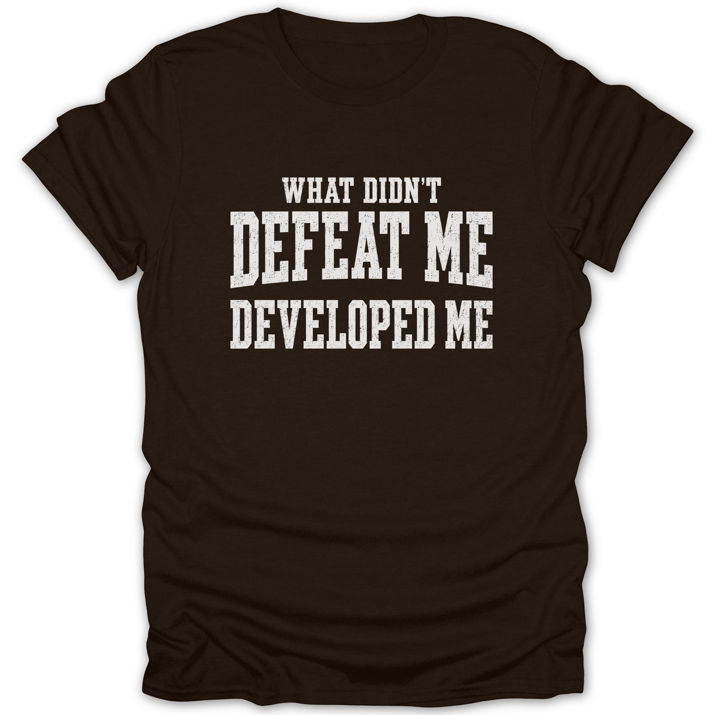 Brown t-shirt with white text reading "WHAT DIDN'T DEFEAT ME DEVELOPED ME".