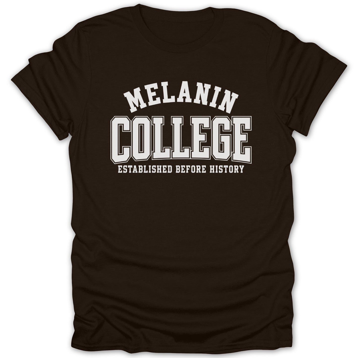Brown t-shirt with "Melanin College Established Before History" text.