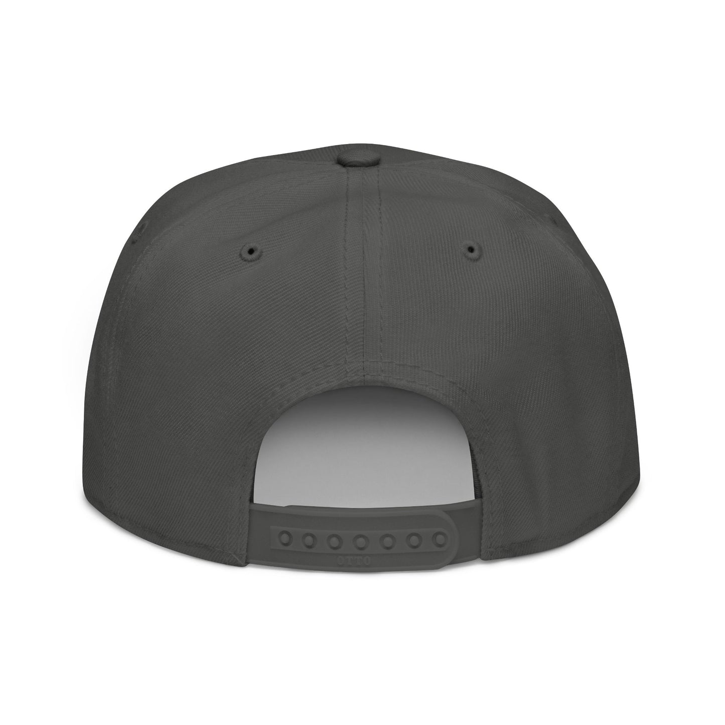 Dark gray snapback hat shown from the back, with adjustable strap.
