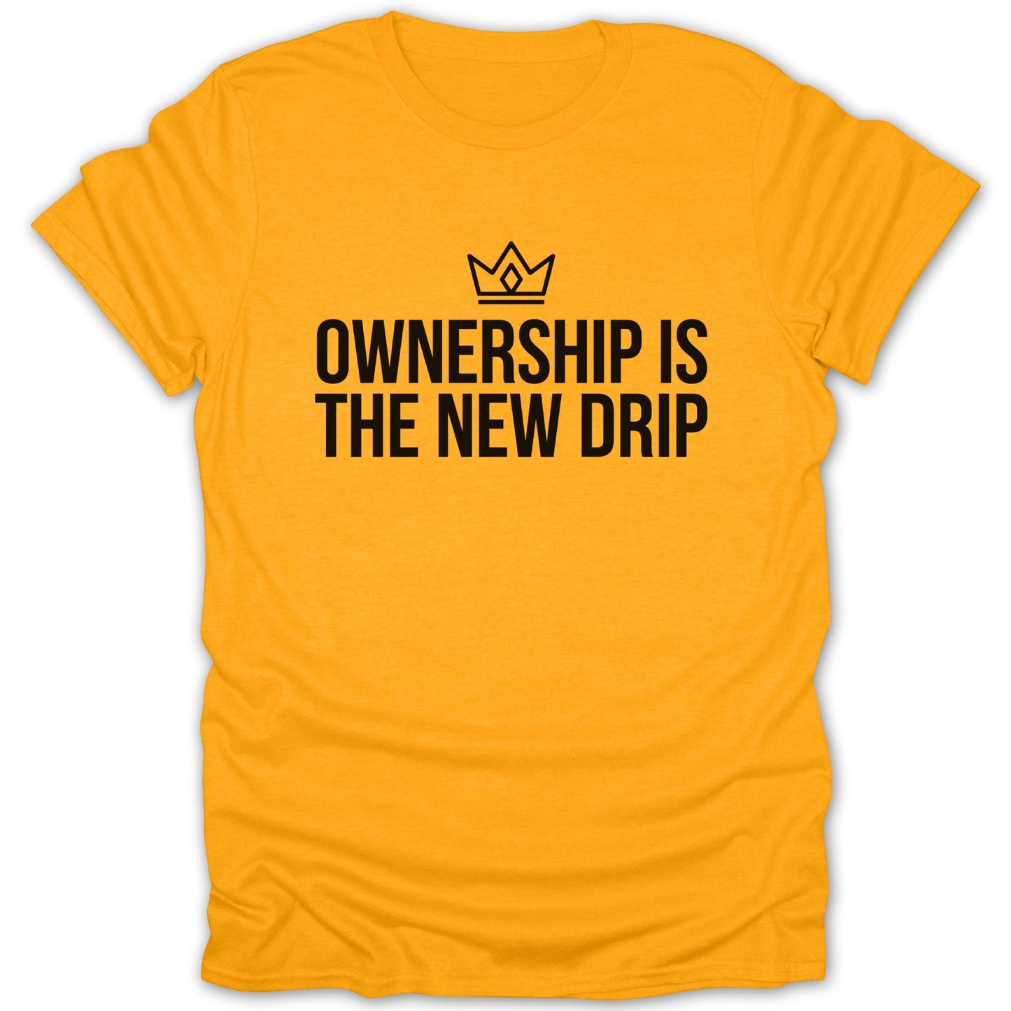 Ownership Is The New Drip Motivational Apparel