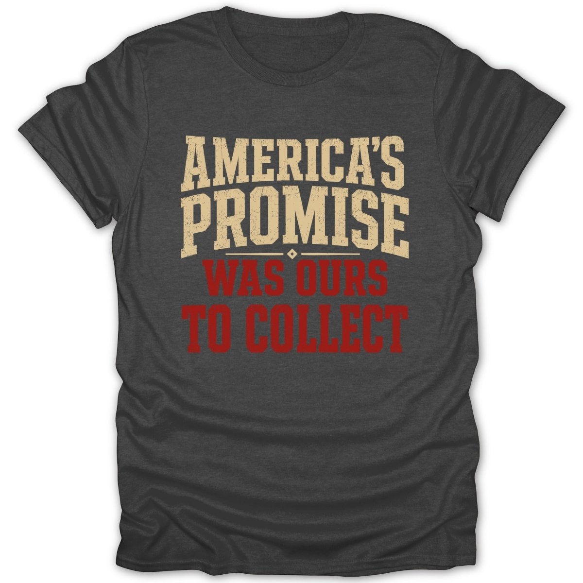 Dark grey t-shirt with "America's Promise Was Ours To Collect" text.