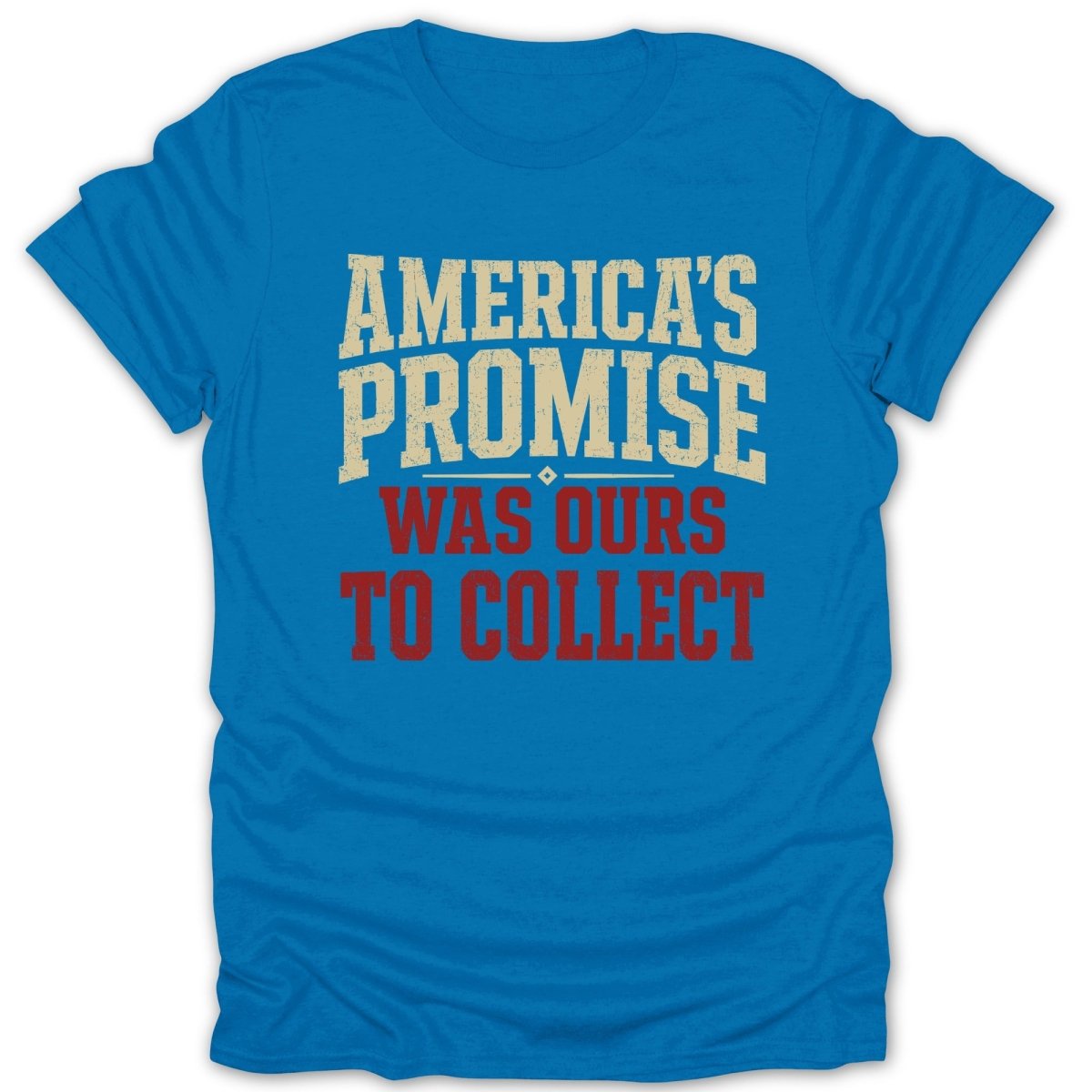 Blue t-shirt with "AMERICA'S PROMISE WAS OURS TO COLLECT" text.