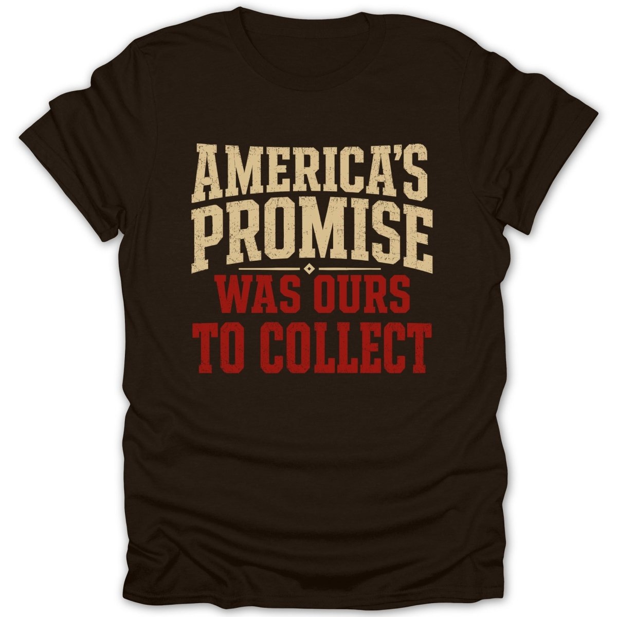Brown t-shirt with "America's Promise Was Ours To Collect" text in cream and red.