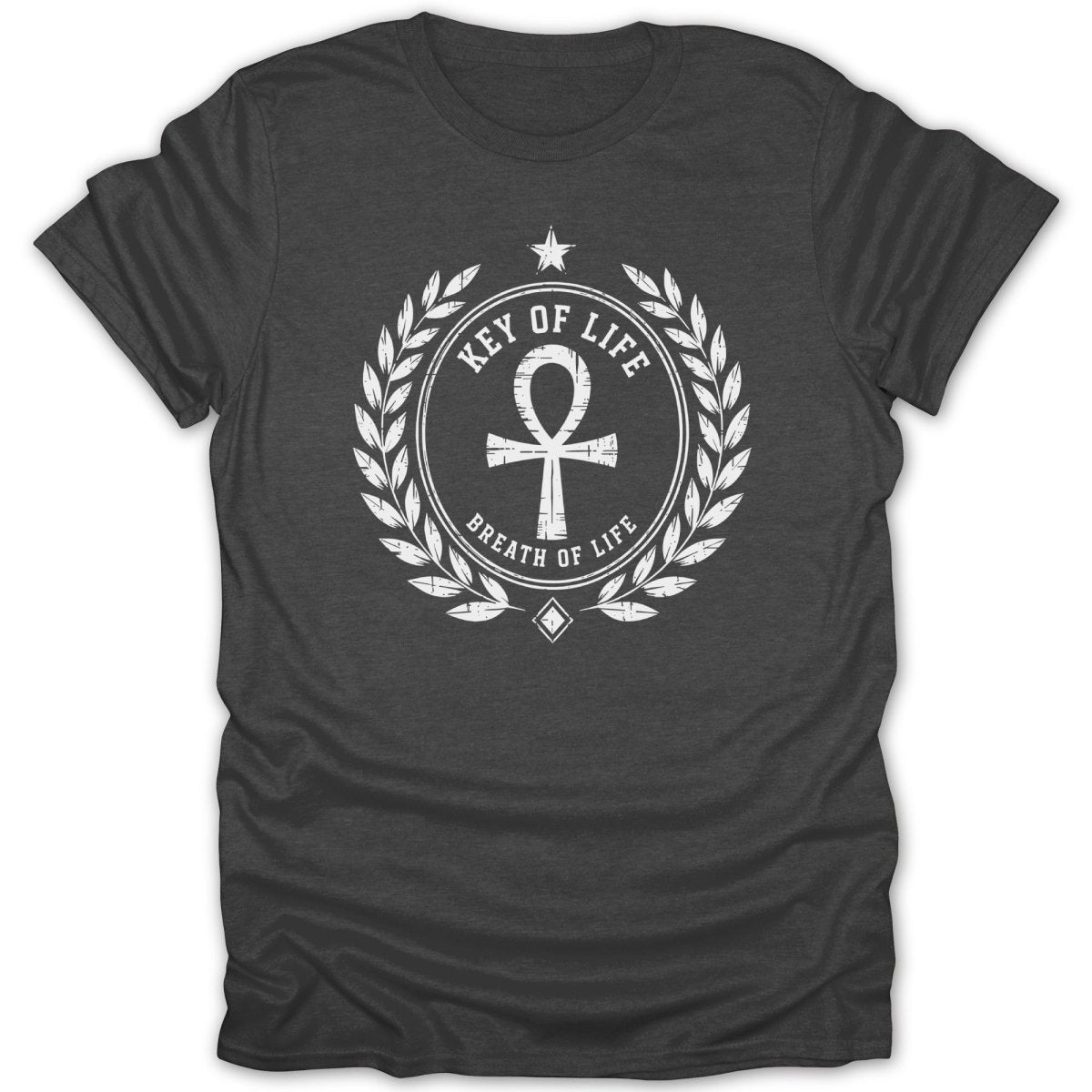 Dark grey t-shirt with a white circular emblem featuring an ankh and text.