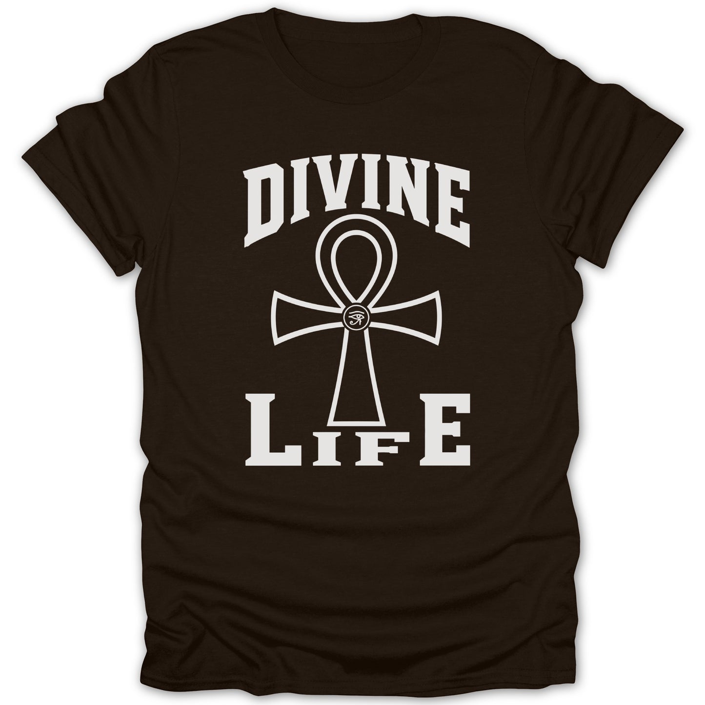 Brown t-shirt with white "Divine Life" text and an ankh symbol.