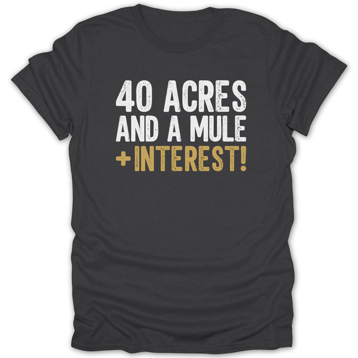 Dark grey t-shirt with "40 ACRES AND A MULE + INTEREST!" in white and gold text.