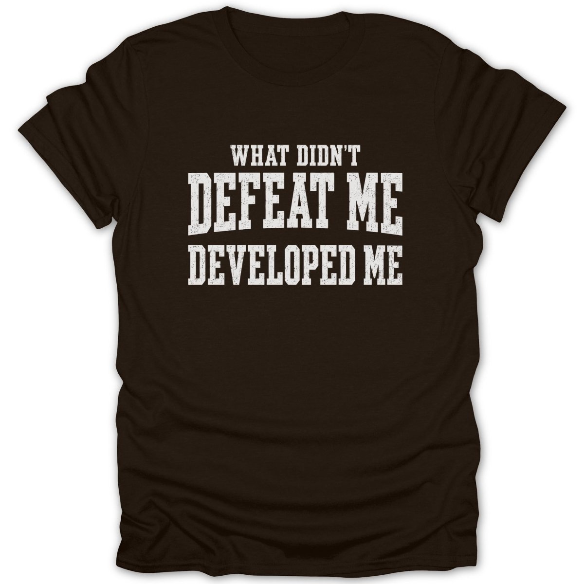 Brown t-shirt with white text reading "WHAT DIDN'T DEFEAT ME DEVELOPED ME".