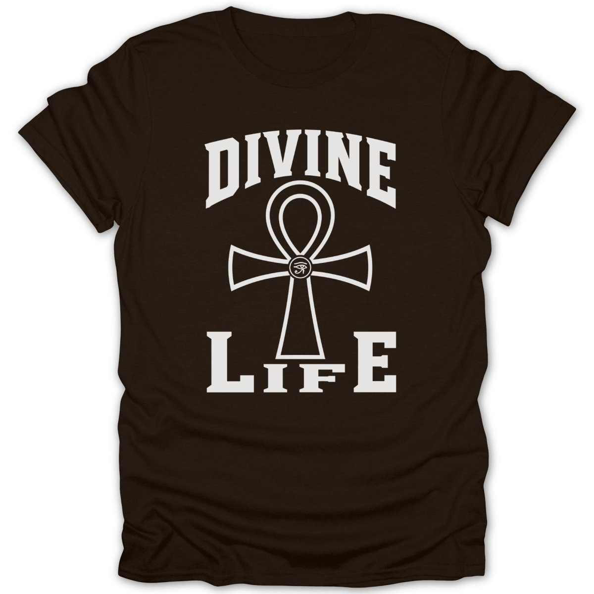 Brown t-shirt with white "Divine Life" text and an ankh symbol.