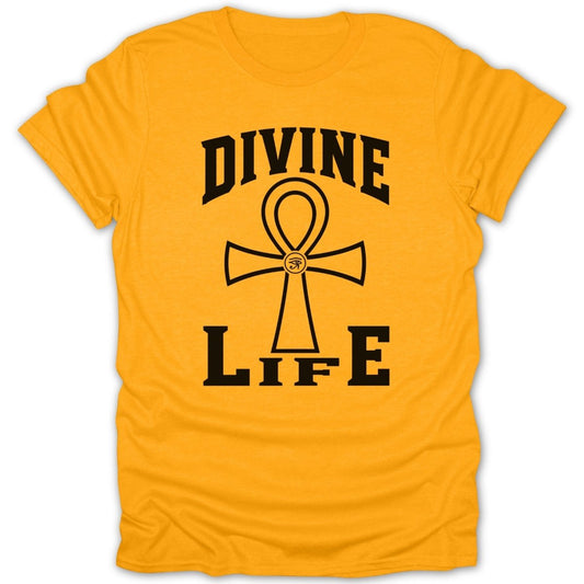 Orange t-shirt with "DIVINE LIFE" and black ankh symbol.