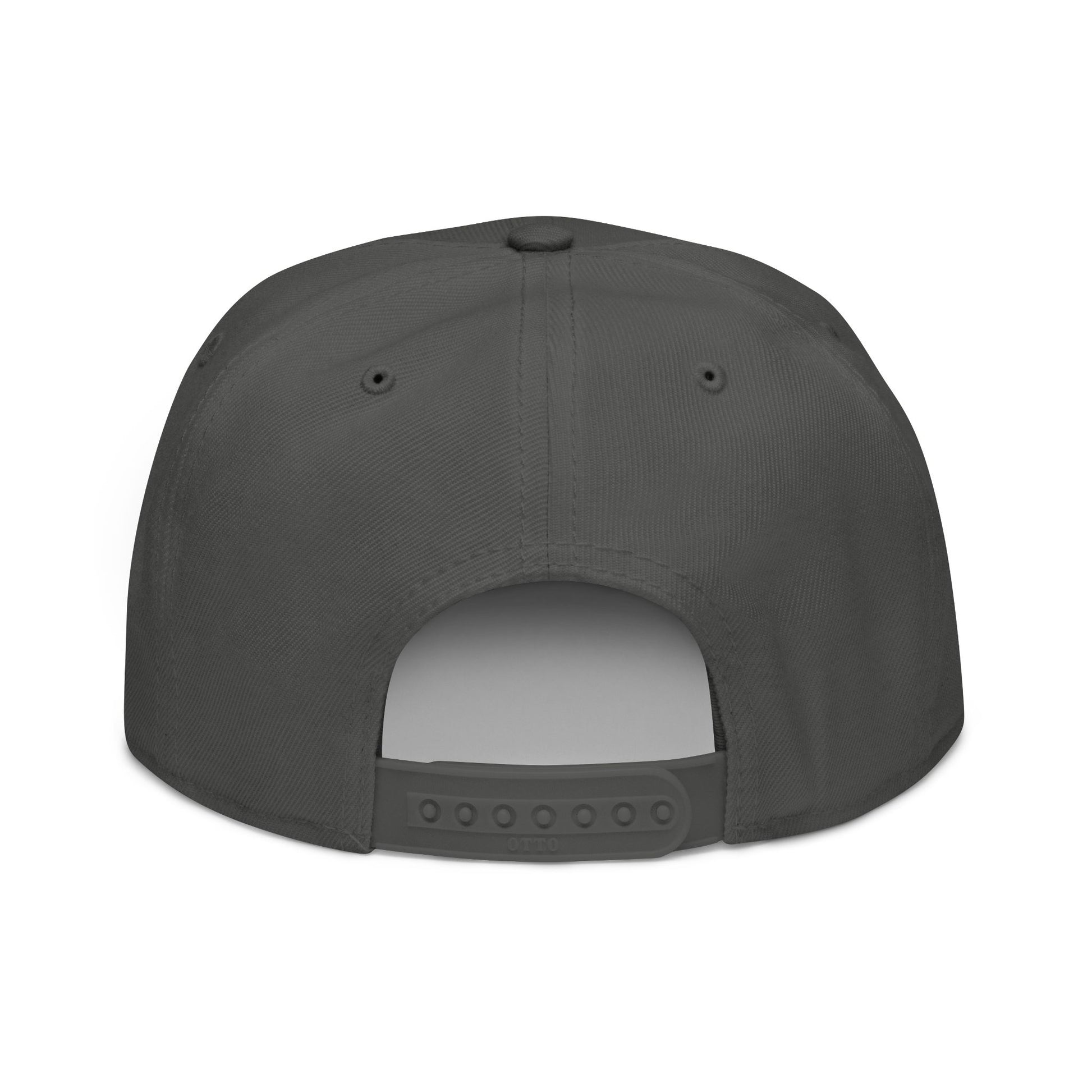 Dark grey snapback hat, rear view, white background.